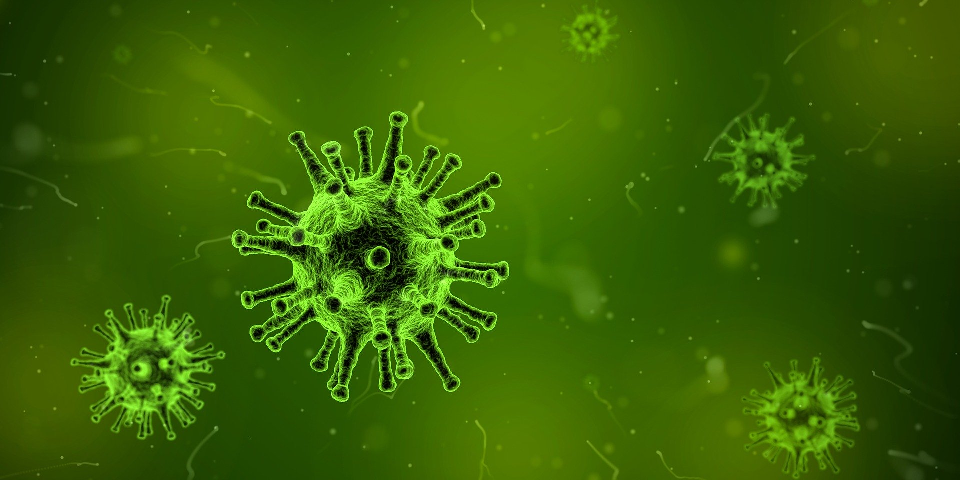 Le SARS-CoV-2 et les autres coronavirus