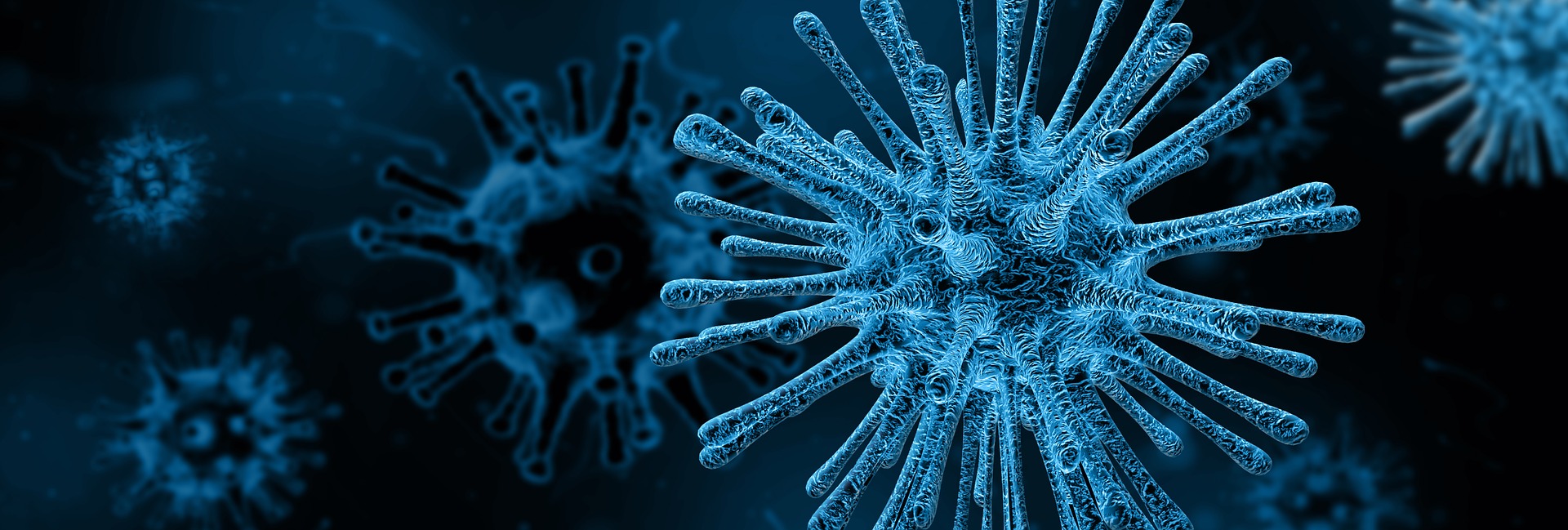 Virologie : 7 coronavirus humains HCoV rapportés à ce jour.